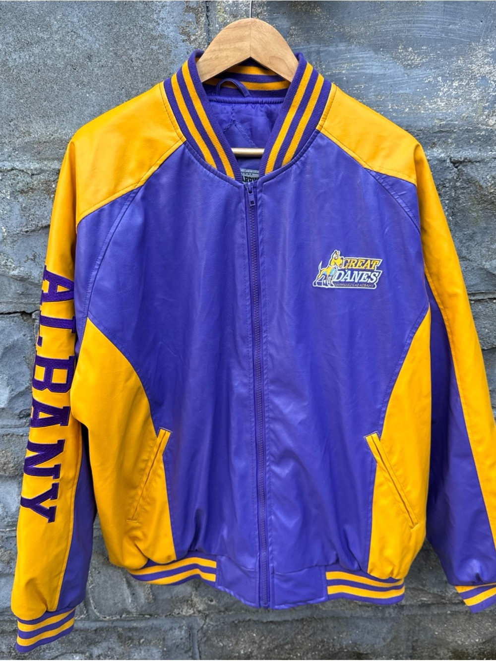 Vintage University at Albany Great Danes Jacket Size XL Bomber SUNY Y2K